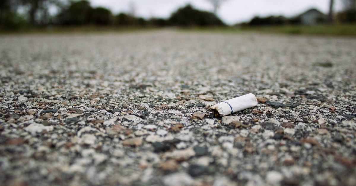Survey: Fewer Motorists Littering