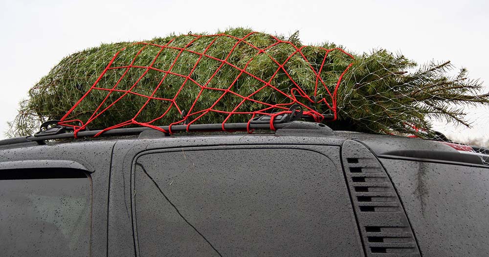 img/blog/2022/christmas-tree-tie-down.jpg