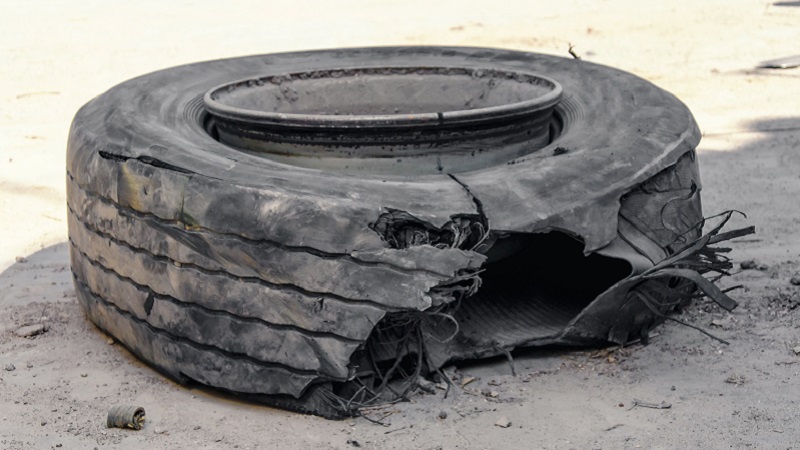 Tire Alligators